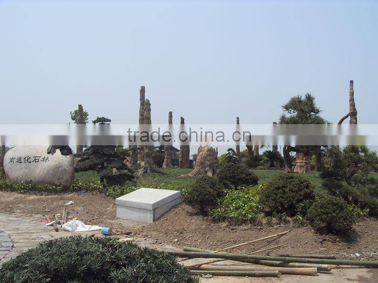 Simulation plant siliciffied wood