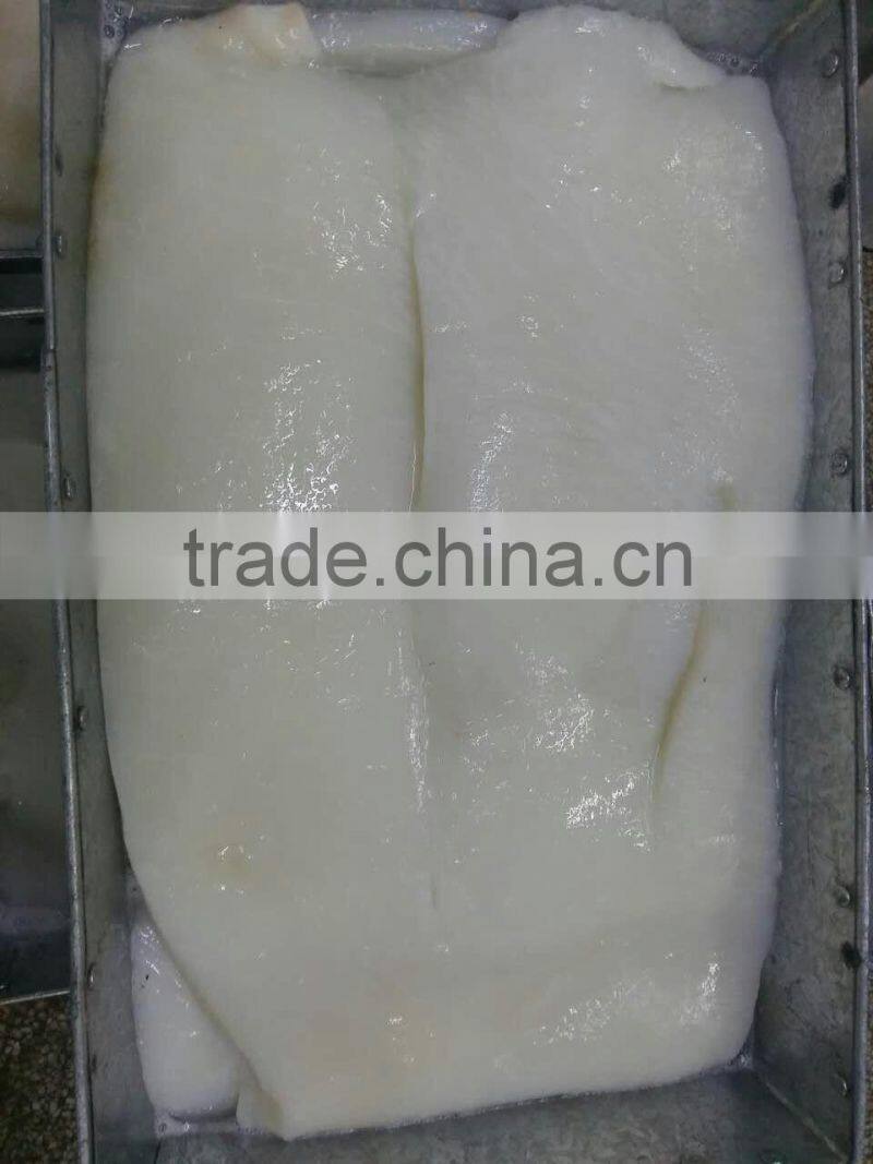 Giant Squid Fillet