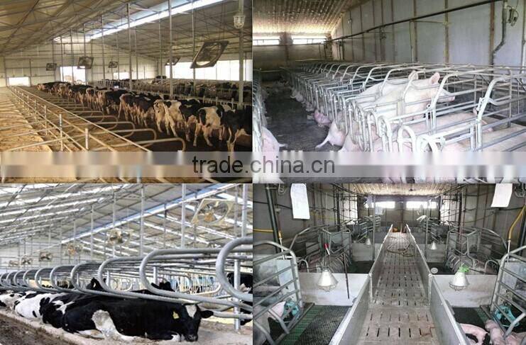 BROILER SHED BUILDING