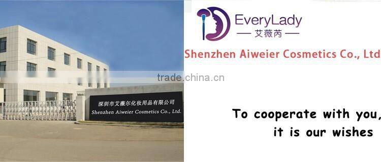 Shenzhen Manufacturer supply nano mister portable electric sprayer