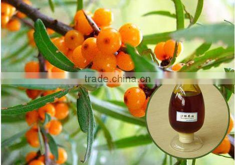 Seabuckthorn fruit oil capsules private label sports nutrition supplements cosmetic drugs raw material suppliers