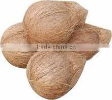 fresh coconuts from kerala