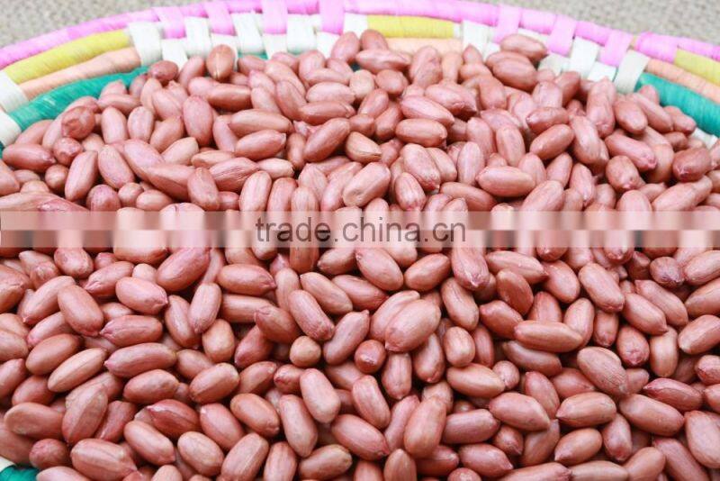 Roasted Half Peanuts