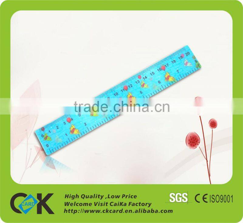 Gold Supplier !Custom eco-friendly plastic rulers in discount