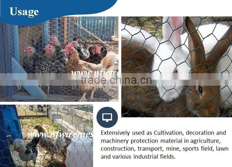 Hexagonal Hole Shape Q195 Galvanized Iron Wire hexagonal wire netting(Guangzhou Factory)