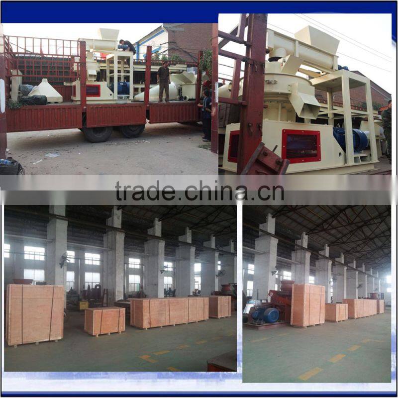 good quality rice husk and wood pellet processing plant/rice husk pellet mill