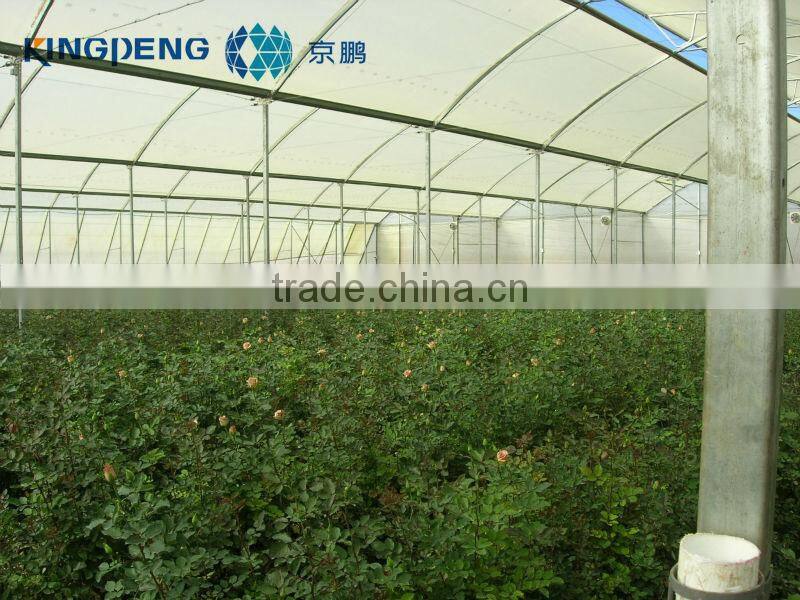 Multi Span Poly Film Greenhouse
