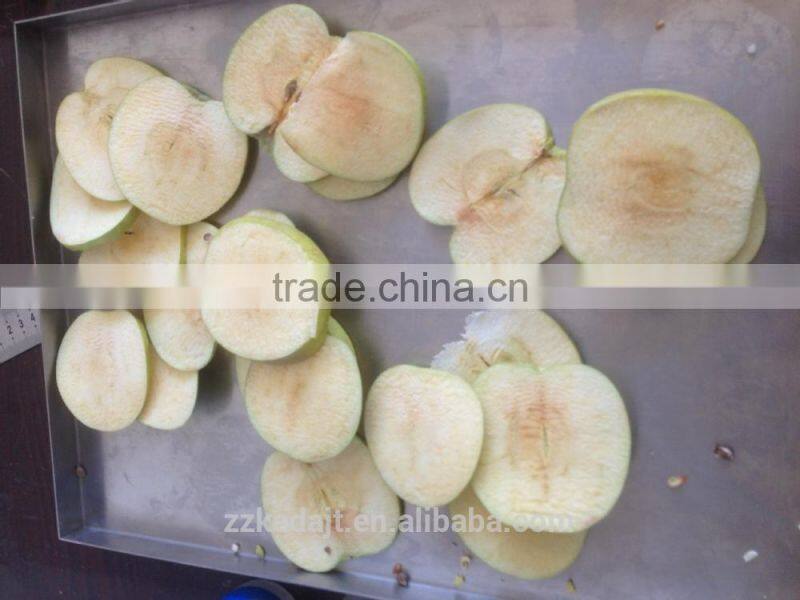 < KD> High Grade Fruit Vacuum Freeze Dryer