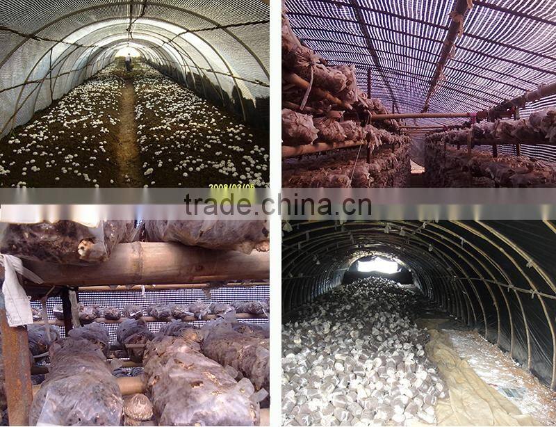 Black and white woven fabric greenhouse film, hdpe plastic film, rain cover heat resistance hydropnic film