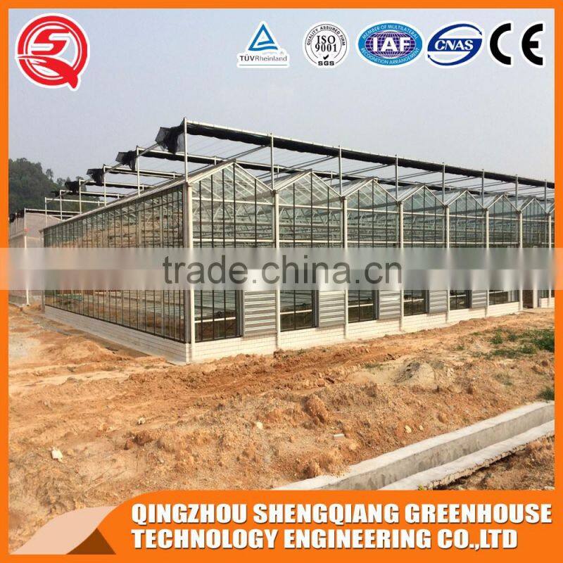 China direct Multifunction Venlo greenhouse for plant flowers