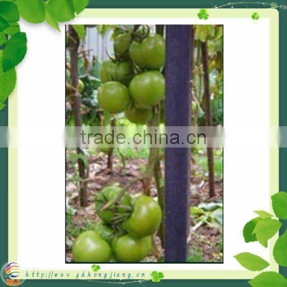 Tree Plastic Support Post 48MM