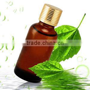 Empty Essential Oil Glass Bottle With Plastic Cap