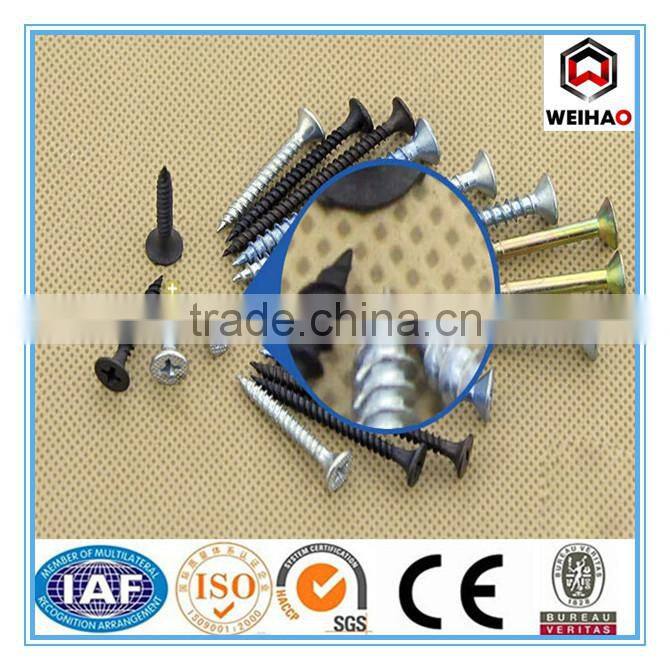 screw/collated drywall screws/galvanized drywall screw