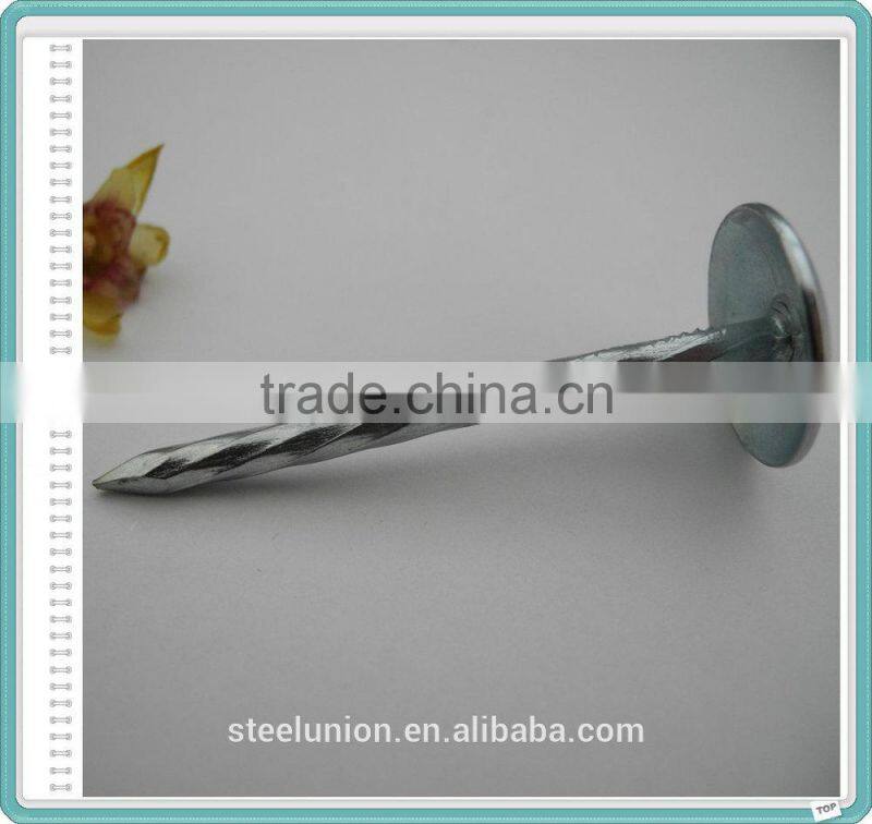 Electro Galvanized Roofing Nails/Umbrella Nails Factory