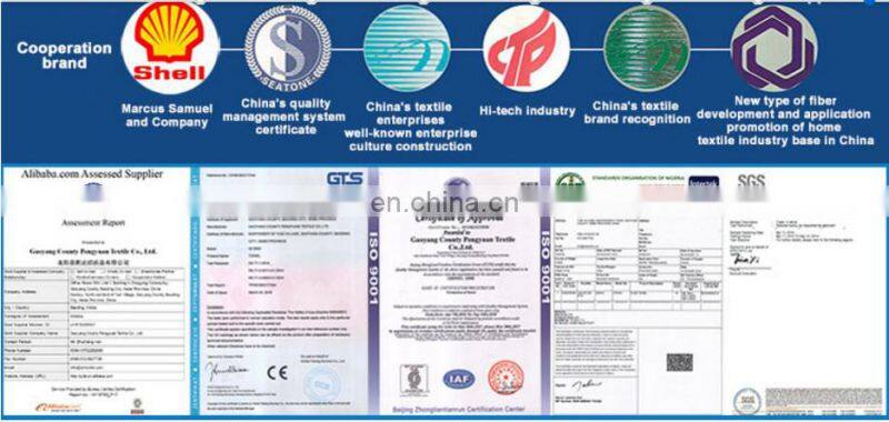 Latest Design Butterfly Wings Fairy Printed Chiffon Shawl Scarf