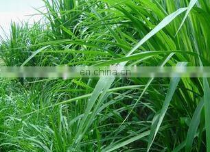 Russia ,Ukraine market ,9GB series tractor pto mower/reciprocating robot lawn mower