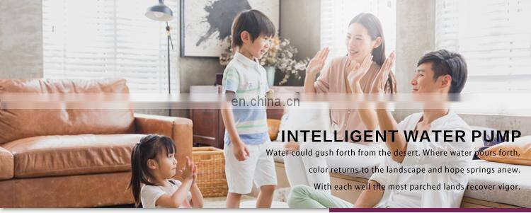 Best 1hp domestic pumps water suction priming automatic pump