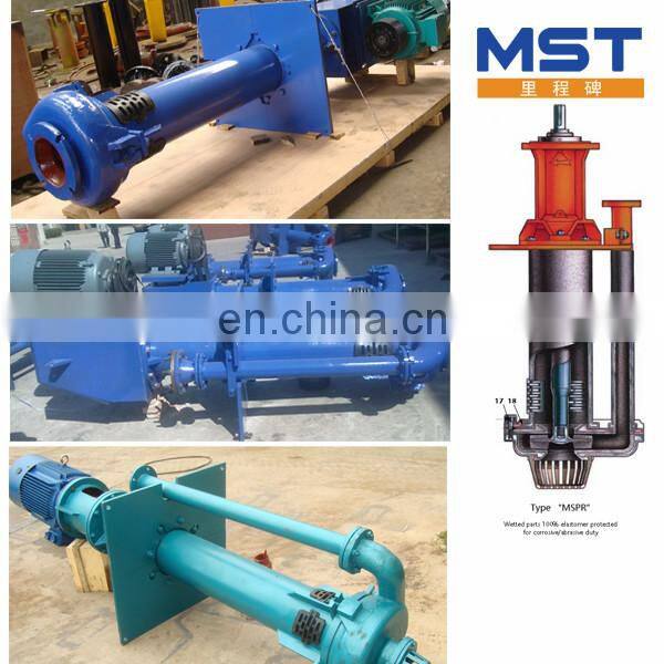 vertical pit pump