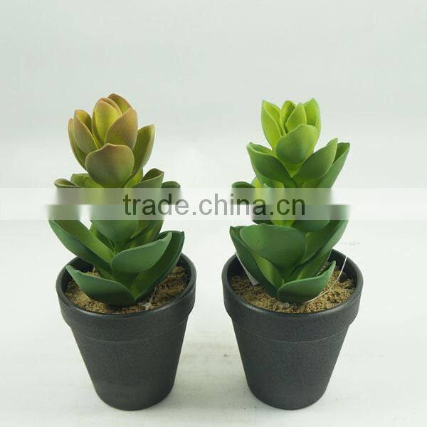 2015 Best selling bonsai artificial succulents plants
