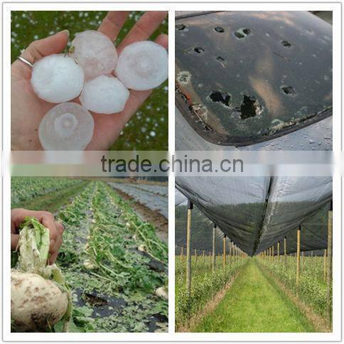 Anti Hail net for Agricultural / anti frost net