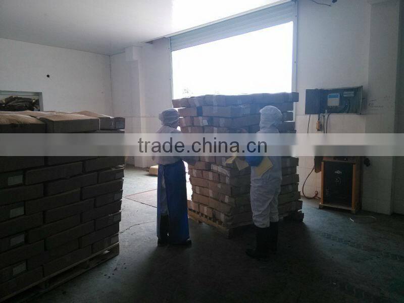 frozen horse mackerel fish