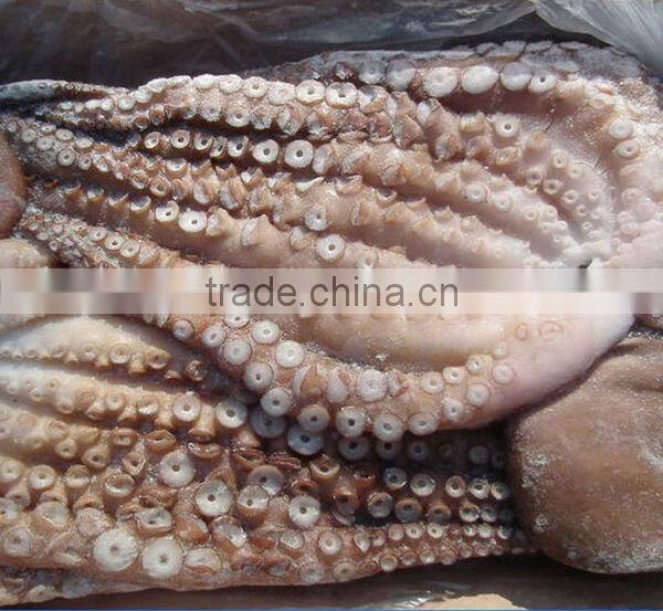 10kg packing clean octopus frozen