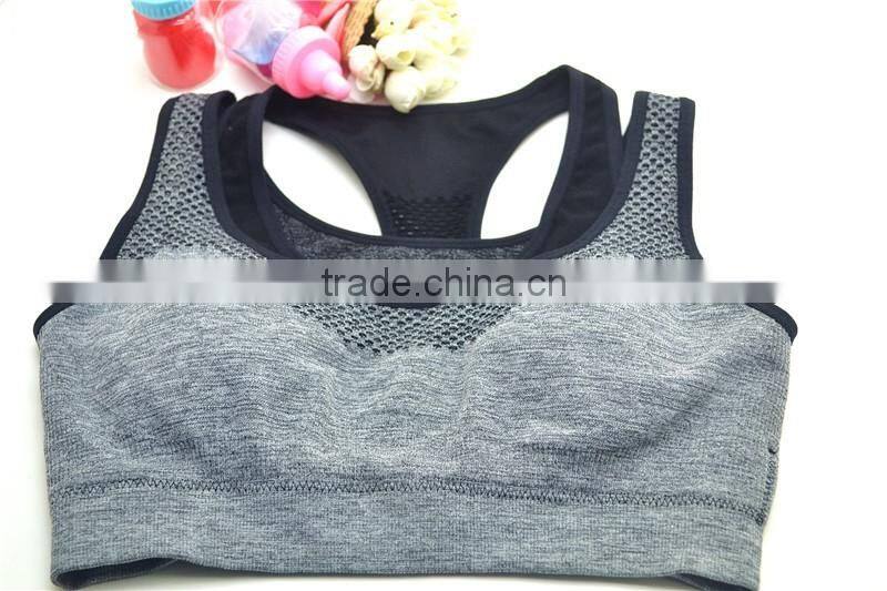 sexy ladies sport crop top padded bra underwear wholesale