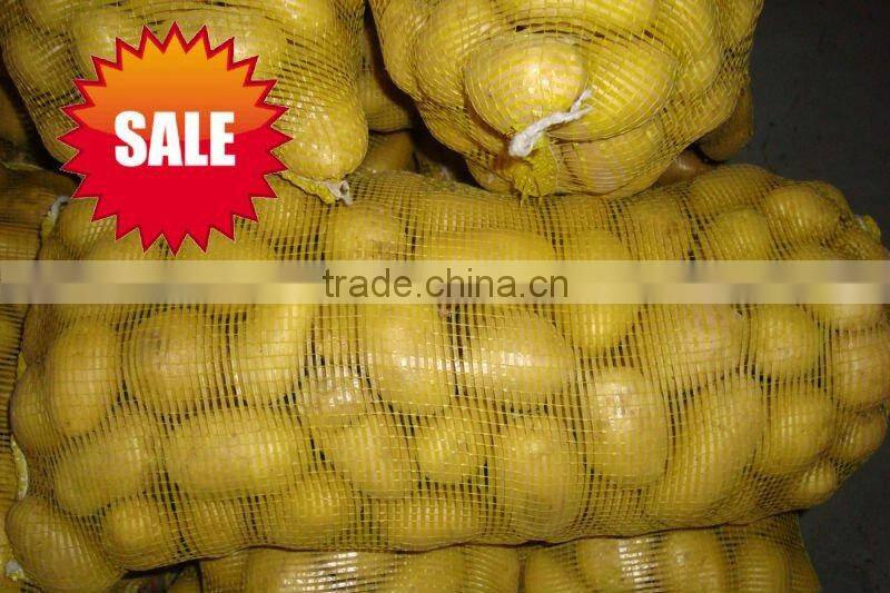 New crop potato bags for sale with high quality