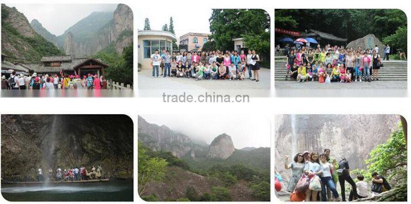 ABS AND pvc 2600mah power bank battery operated motor