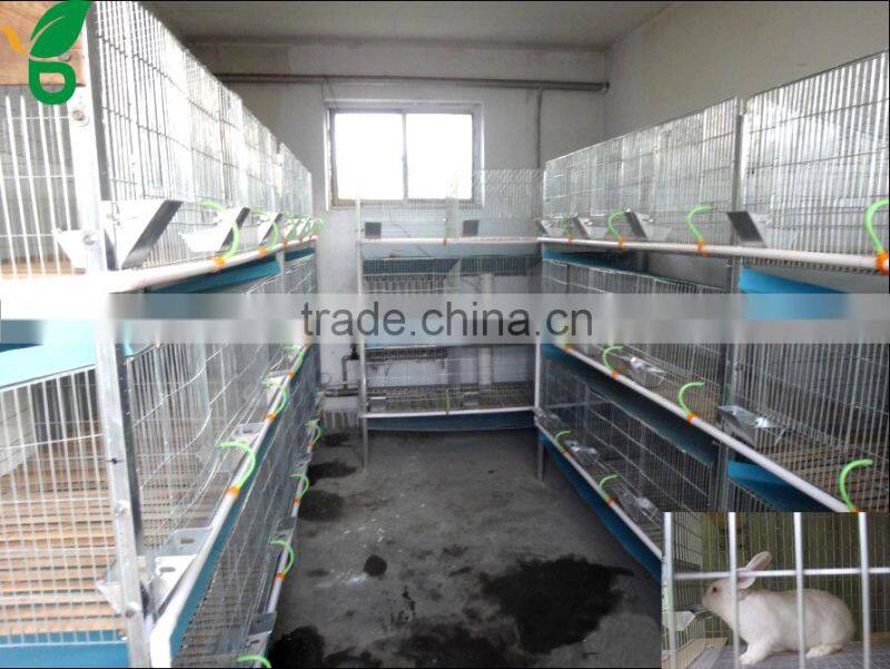 galvanized welded steel wire mesh rabbit cages