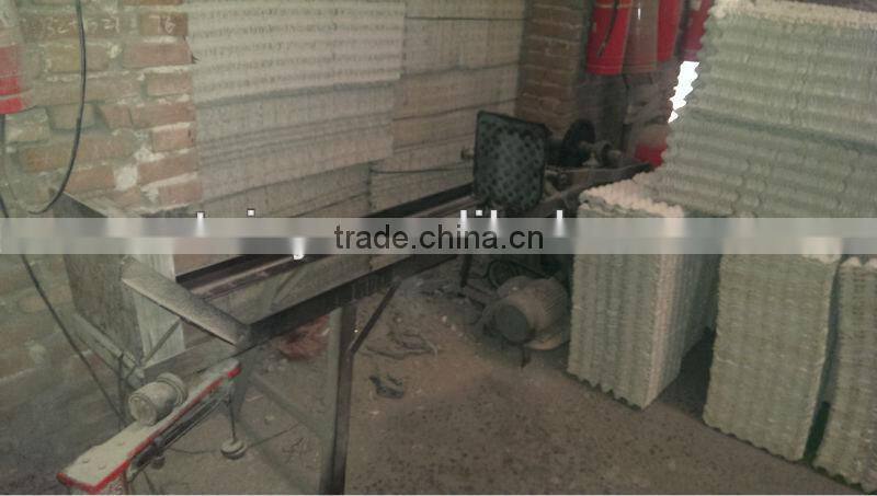 professional fully automatic making machine egg tray carton