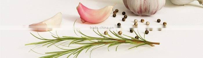 purple mesh bag fresh normal white garlic