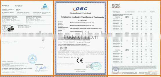 Inflatable Water Walk Roller