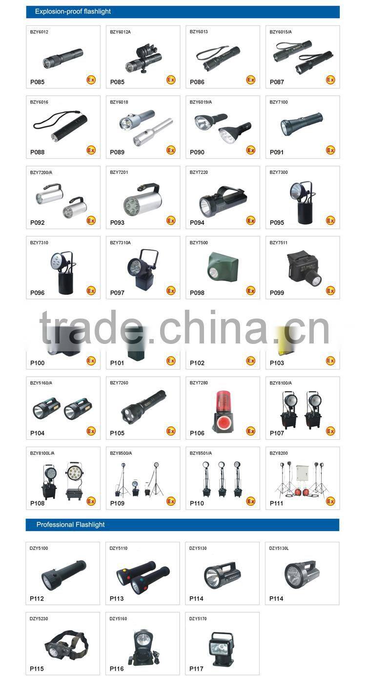 Ex-proof certificate LED Floodlight 100W