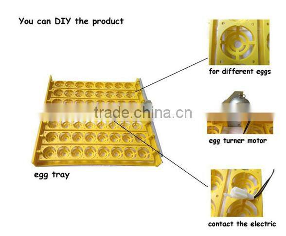 48 Egg Capacity Small Incubator for Hatching Eggs