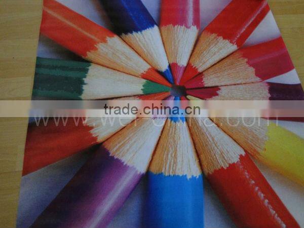 3.2 m large banner printer 10 feet