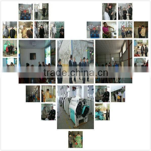 TQLZ Series Vibrating Sieve For Flour Mill