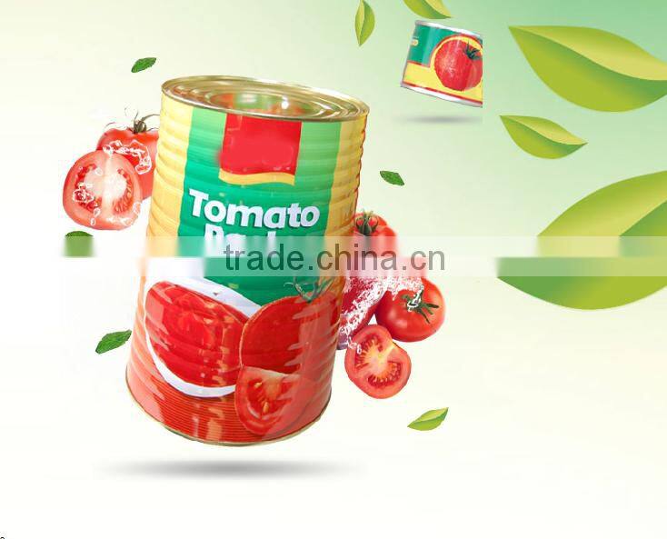 Made in china OEM ODM ketchup export Saudi Arabia Canned Beads In Tomato Sauce 425g 227g Beads In Tomato Paste