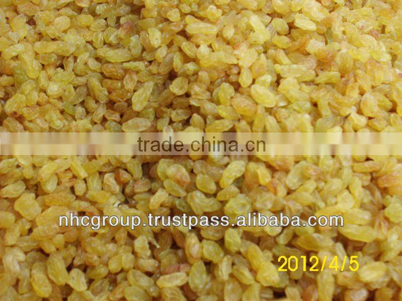 GOLDEN RAISIN (NEW CROP)