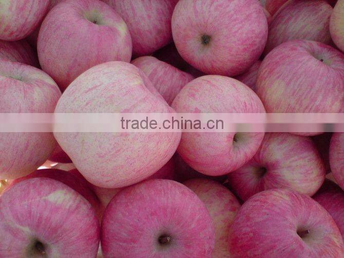 2012 Fuji Apple of China