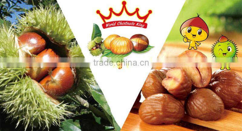 Ready to Eat Roasted Ringent Chestnuts Snacks