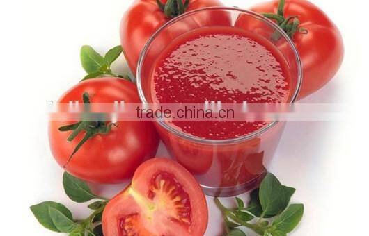 Tomato Paste in drums