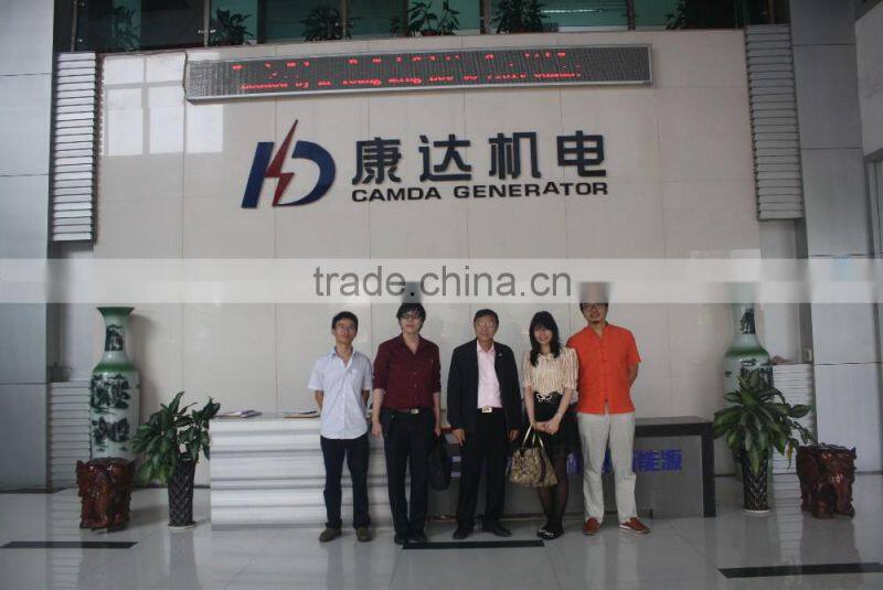 Camda Factory biogas generator sets with/without canopy 250kw biogas generator