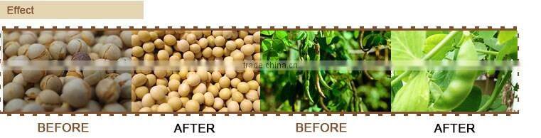 China Low Cost Free Sample for Branch Chain Fertil Supplement agriculture liquid fertilizer