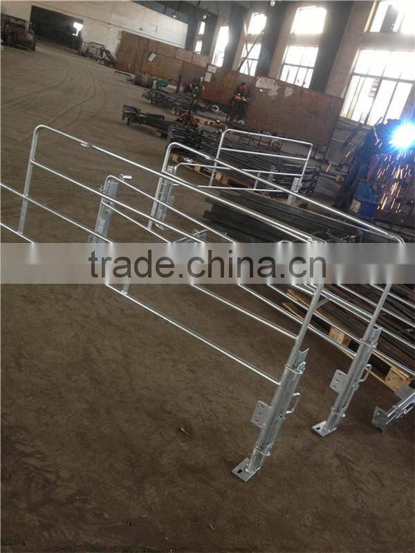 Pig farm farrowing pen sow gestation stall