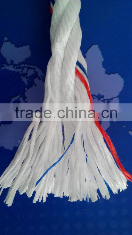 high quality Danline Rope competitive price
