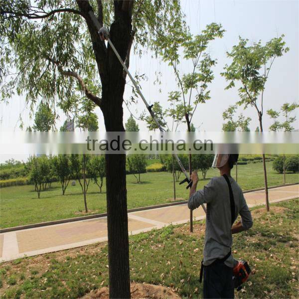 hot sales gardening 2stroke poratble pole chain saw