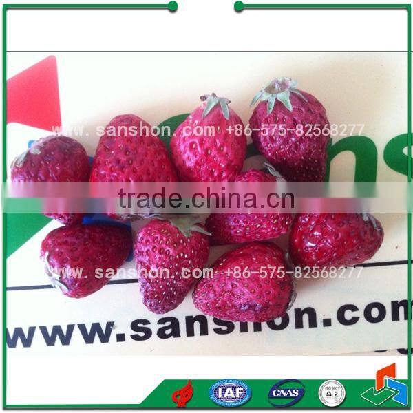 vegetable vacuum freeze dryer machine lyophilizer