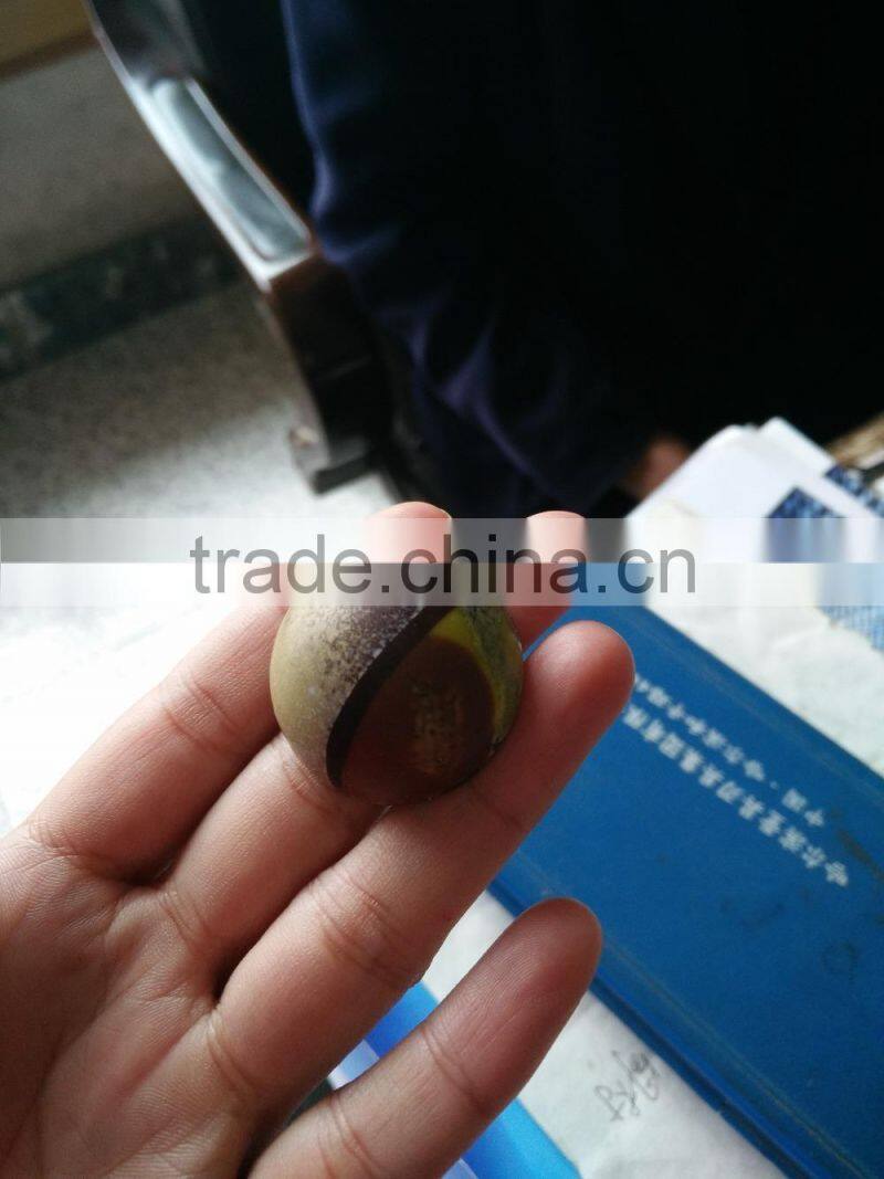 Automatic hocolate dipping machine/chocolate glazing machine/chocolate enrober