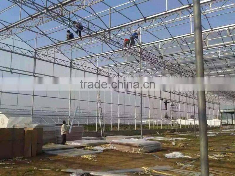 Ecological greenhouse garden shed